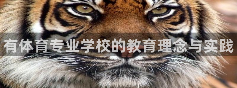 杏悦2体育平台开号链接