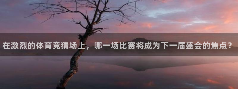 杏悦2f凯捷注册