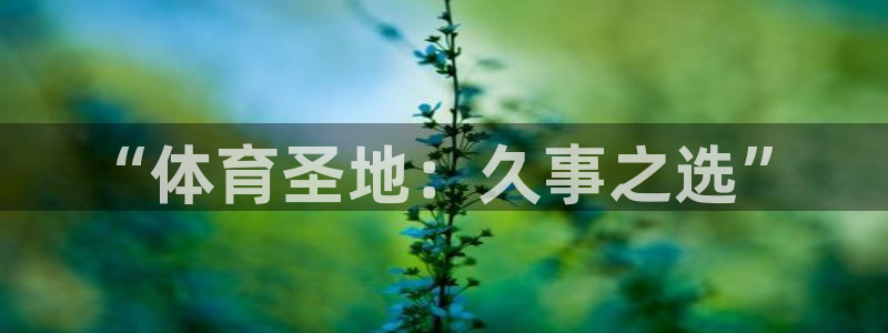 杏悦2体育f开号