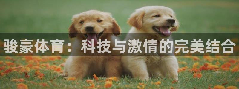 杏悦2体育官网注册