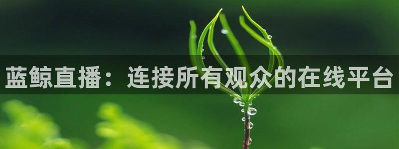 佛山市南海杏悦2机电仪器有限公司